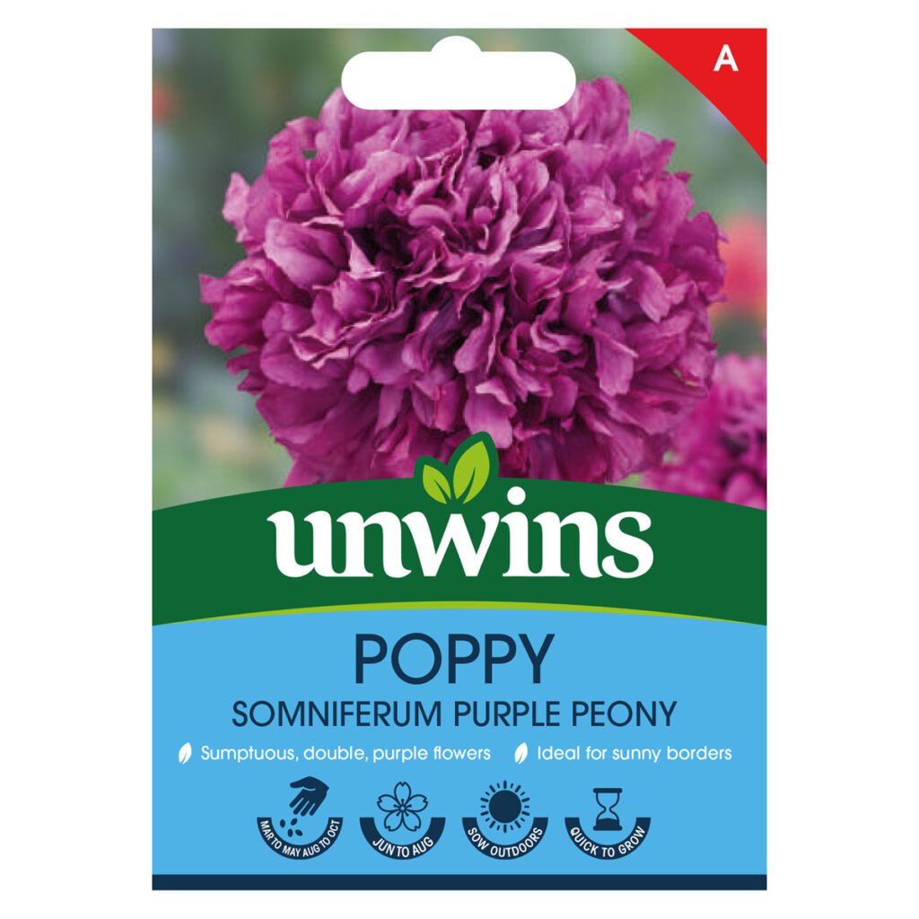 Unwins Poppy Purple Peony Seeds 5051618036115 2